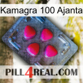 Kamagra 100 Ajanta 13